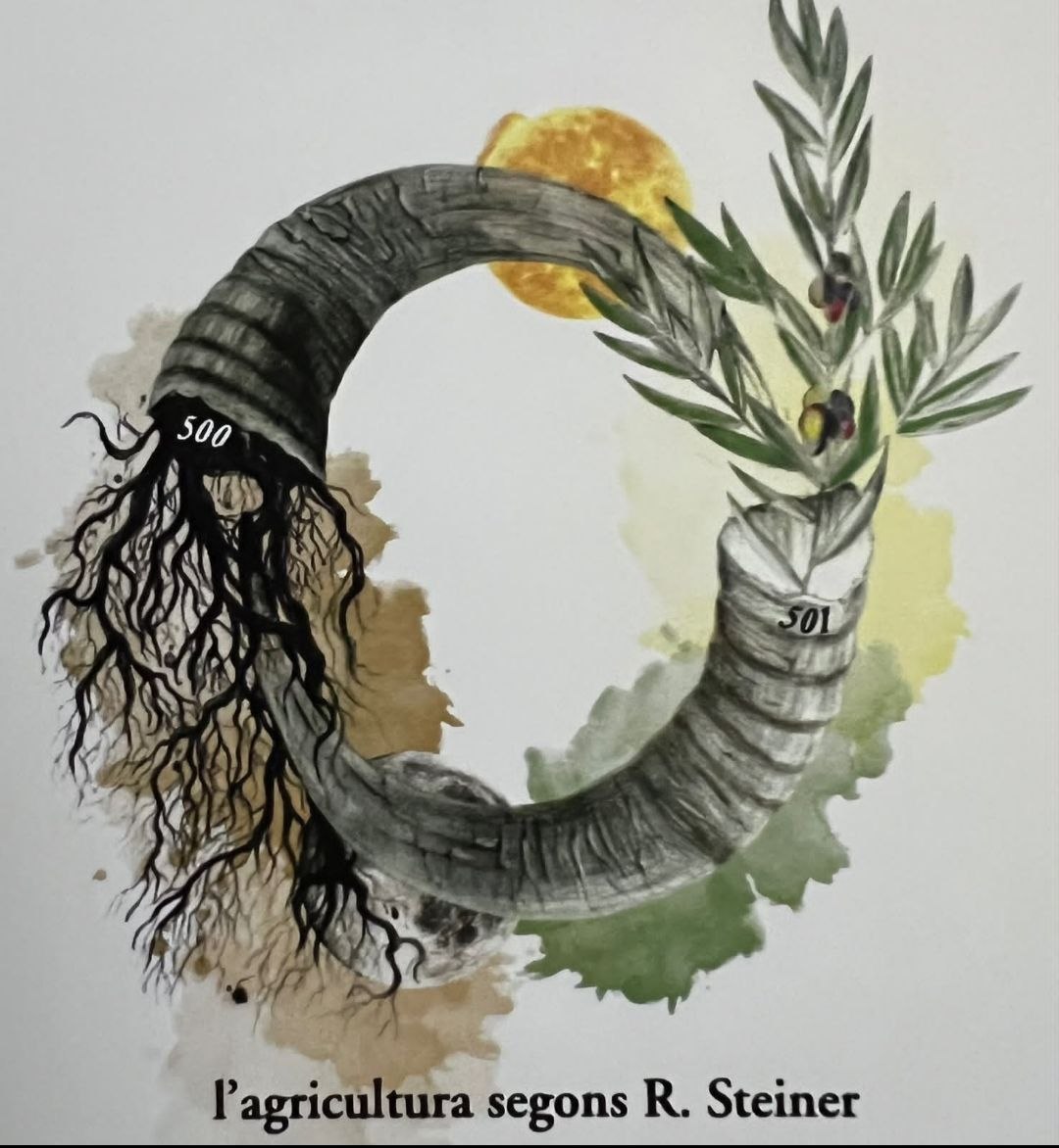 Ilustración sobre la agricultura biodinámica según Rudolf Steiner, con preparados 500 y 501, cuerno y olivo